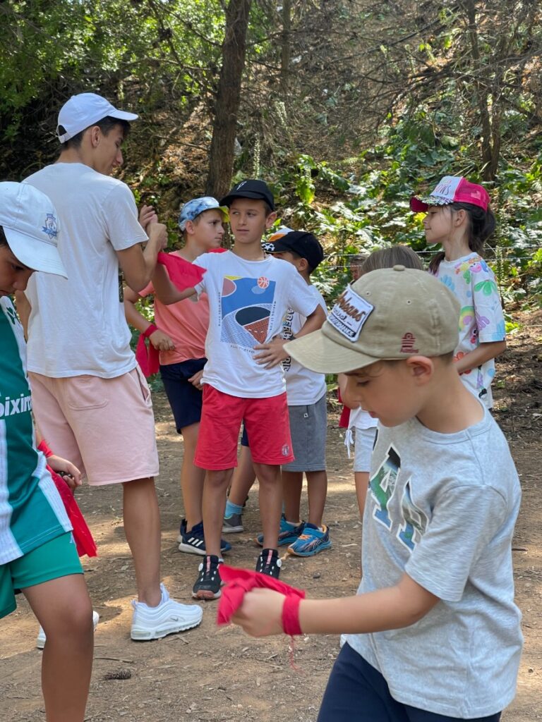 20230704_080546029_iOS