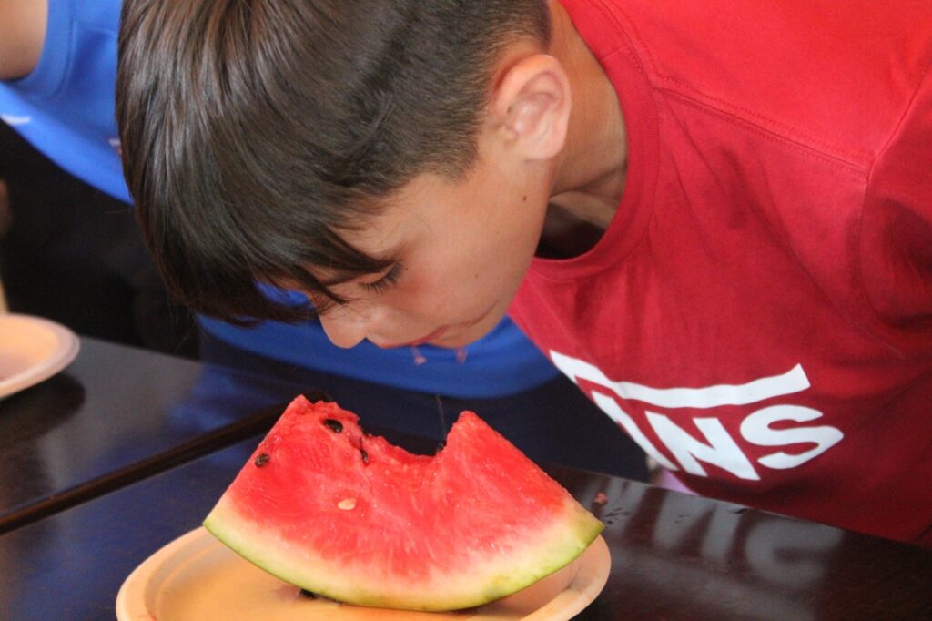 Campeon summer camp image 2